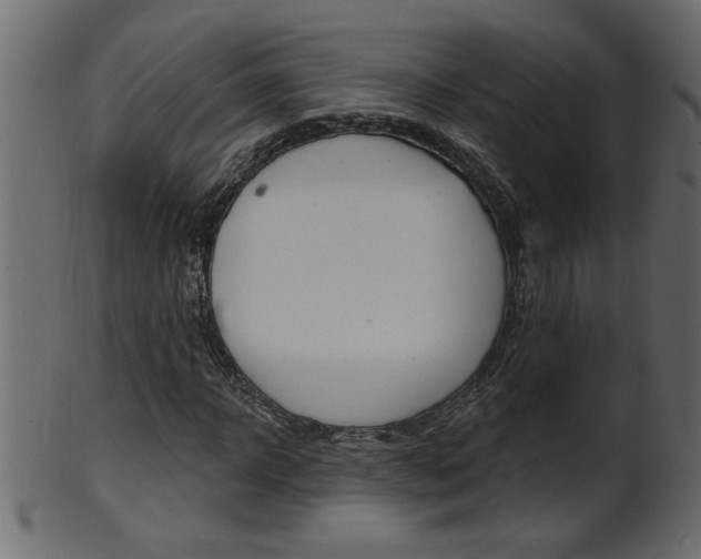 X0000102020918200807180939