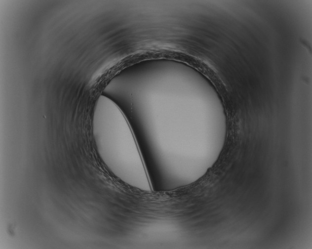 X0000102020919200807180939