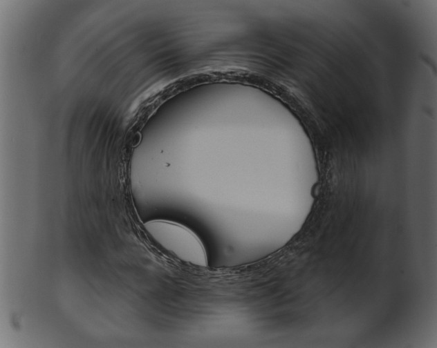 X0000102020920200807180939