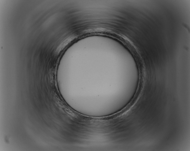 X0000102020921200807180939