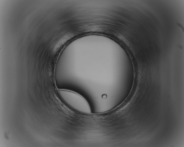 X0000102020922200807180939