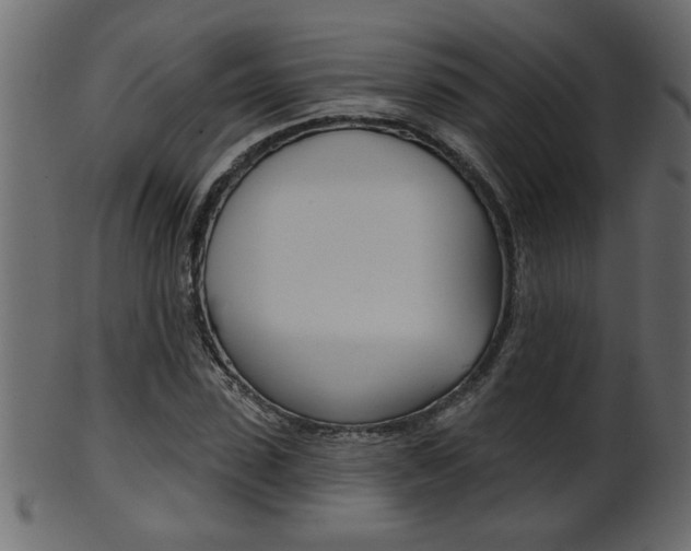 X0000102020923200807180939