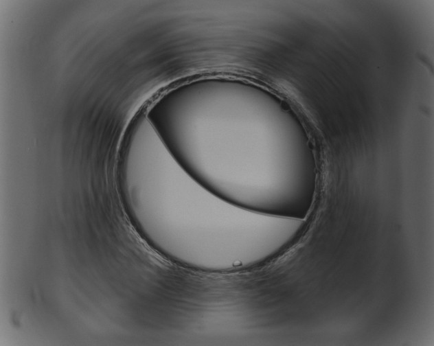 X0000102020924200807180939