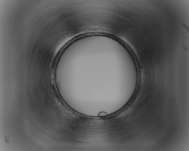 X0000102020925200807180939