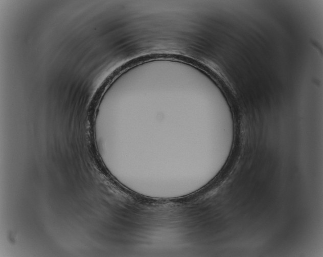 X0000102020926200807180939