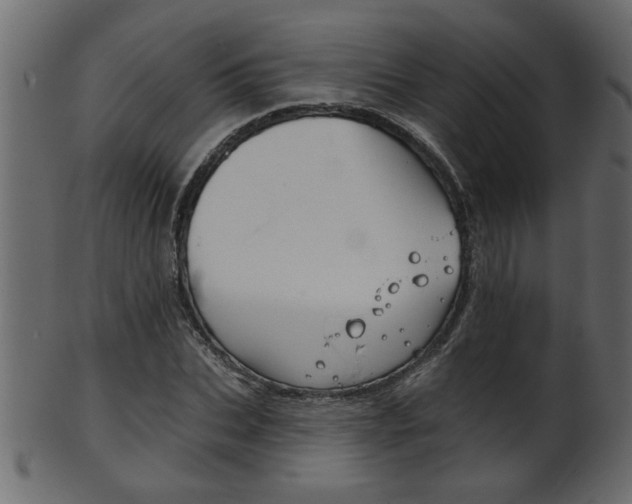 X0000102020927200807180939