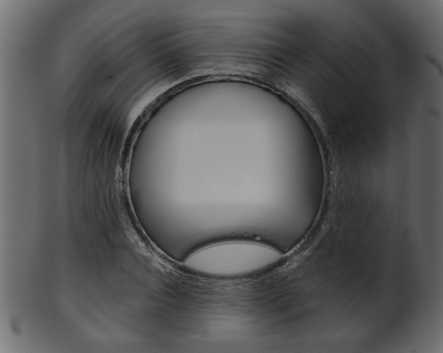 X0000102020928200807180939