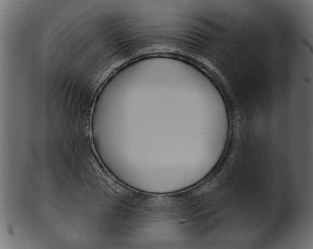 X0000102020929200807180939