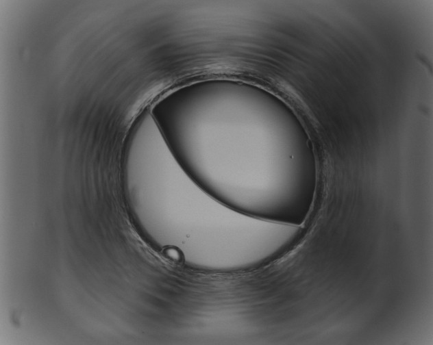 X0000102020930200807180940