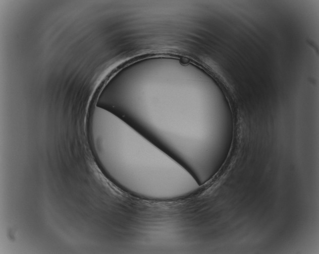 X0000102020932200807180940