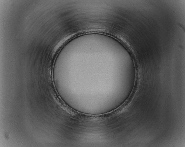 X0000102020933200807180940