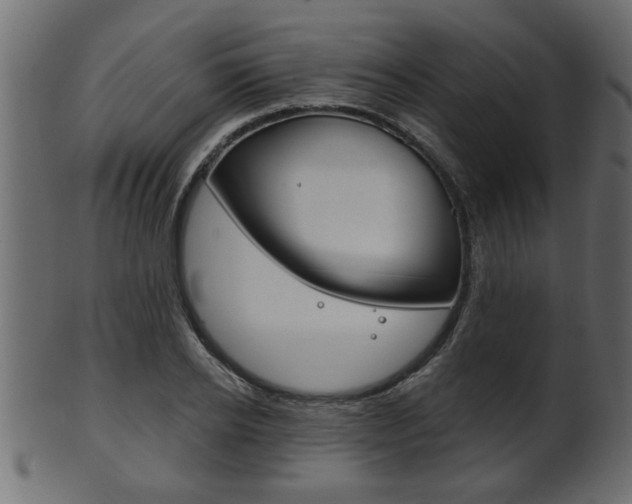 X0000102020934200807180940