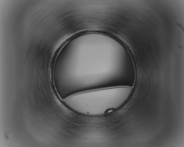 X0000102020935200807180940