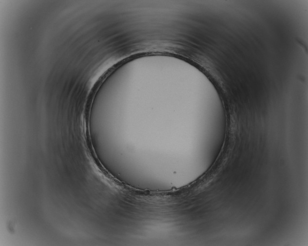 X0000102020936200807180940