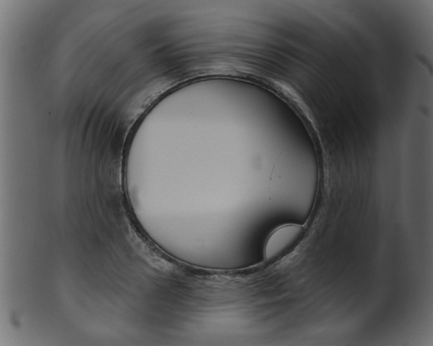 X0000102020938200807180940