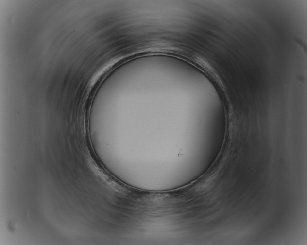 X0000102020939200807180940