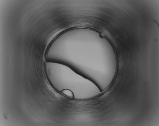 X0000102020940200807180940