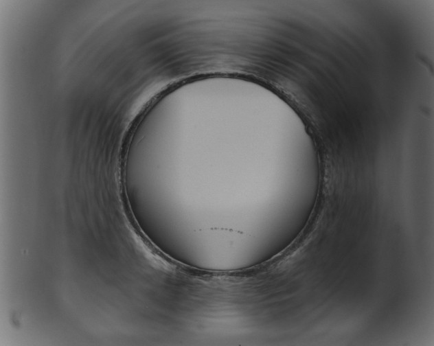 X0000102020942200807180940