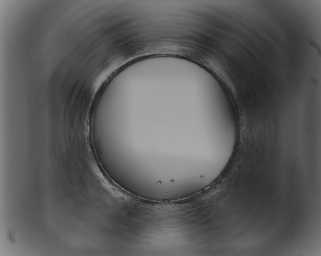 X0000102020944200807180940