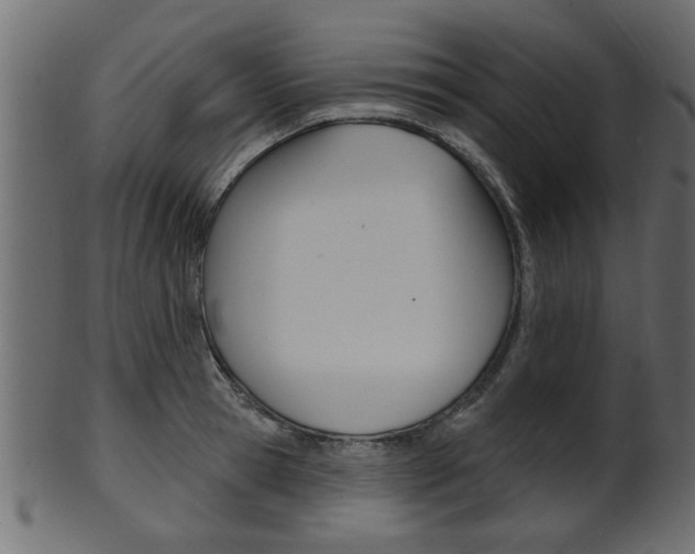 X0000102020945200807180940