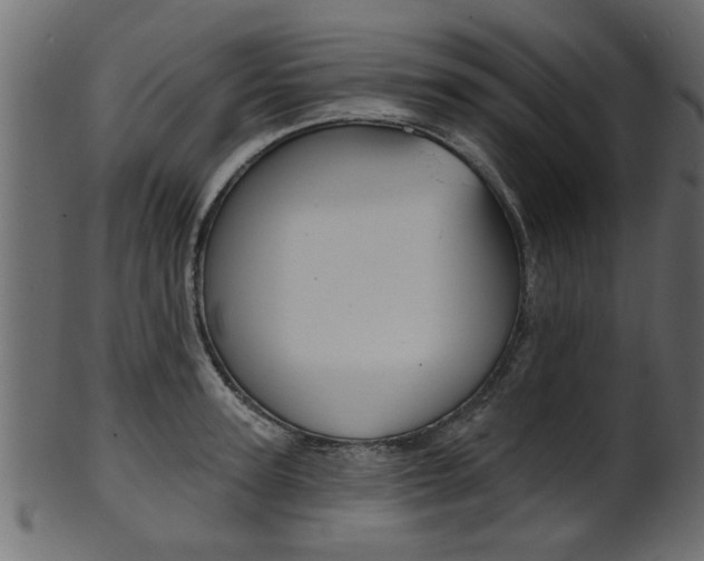 X0000102020947200807180940