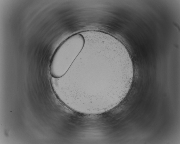 X0000102020950200807180940