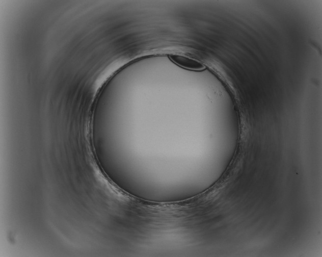 X0000102020952200807180940