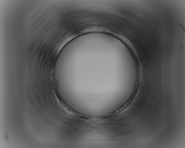 X0000102020953200807180940