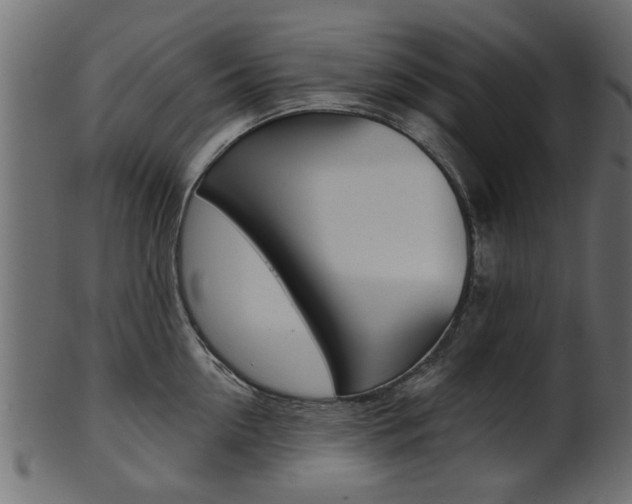 X0000102020954200807180940