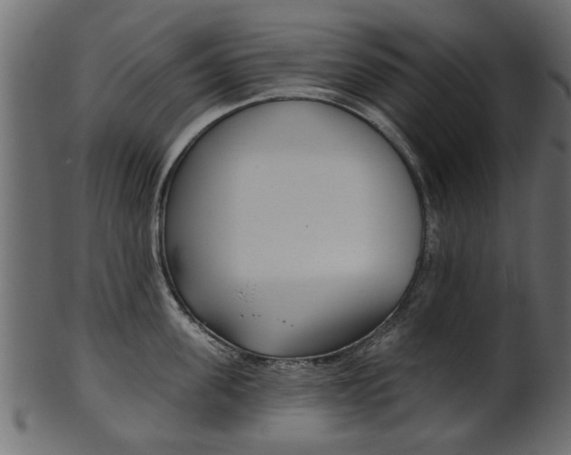 X0000102020955200807180940