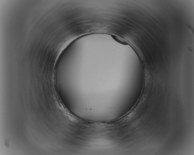 X0000102020956200807180940
