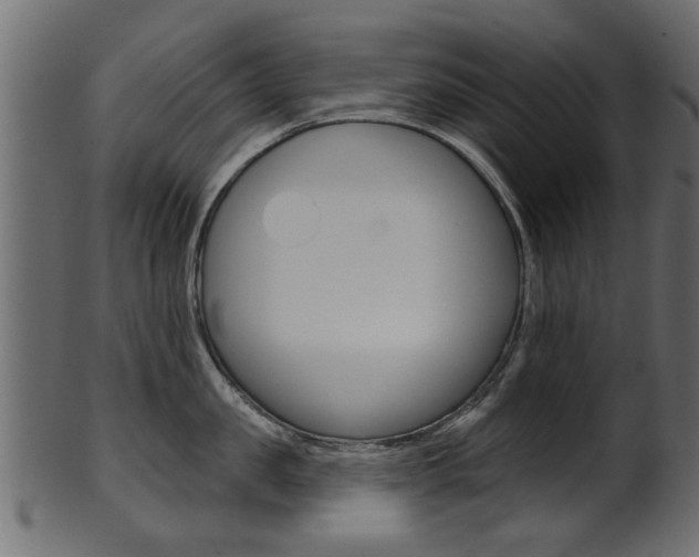 X0000102020957200807180940