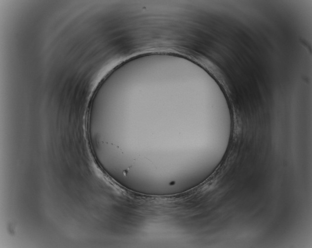 X0000102020958200807180940