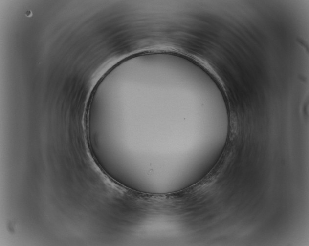 X0000102020959200807180940