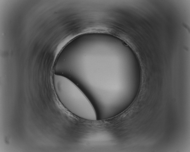 X0000102020960200807180940