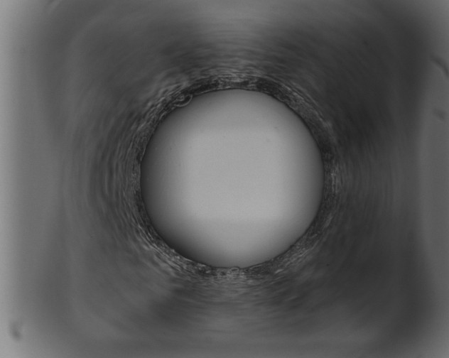 X0000102020961200807180939
