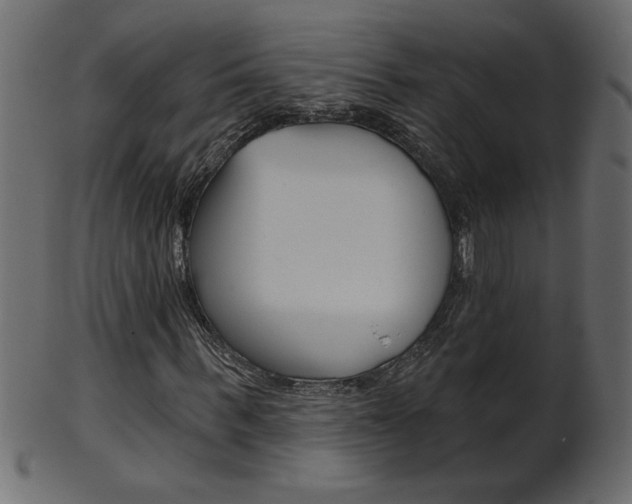 X0000102020963200807180939