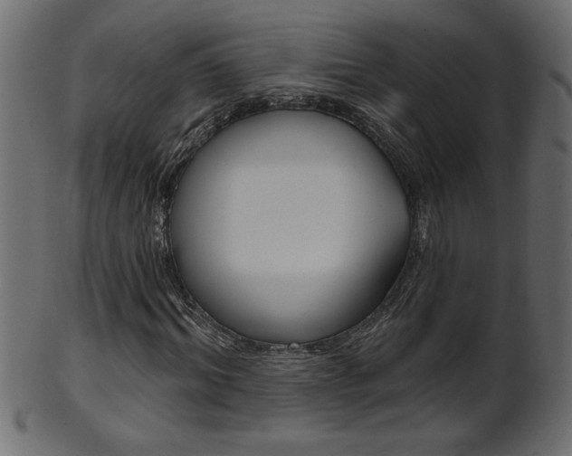 X0000102020964200807180939