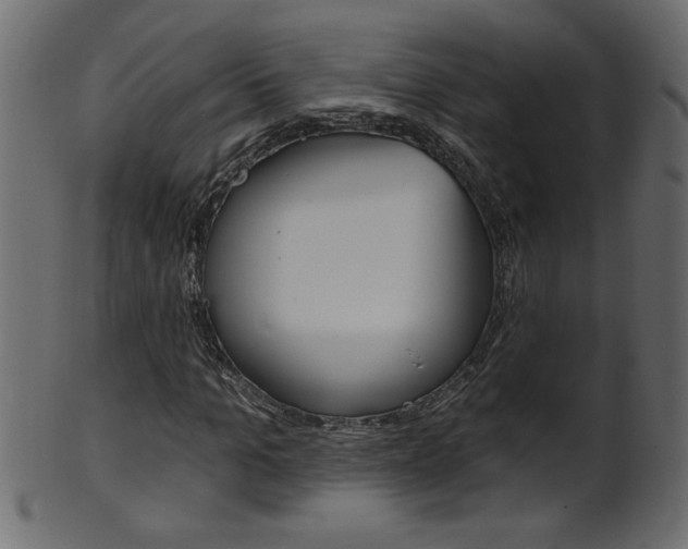 X0000102020965200807180939