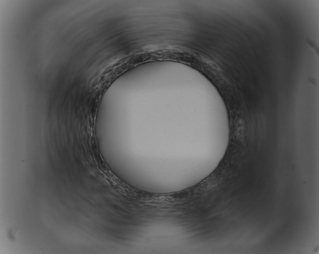 X0000102020966200807180939