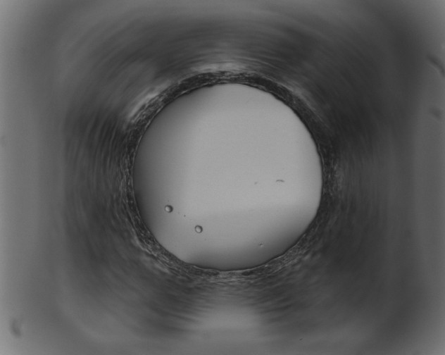 X0000102020967200807180939