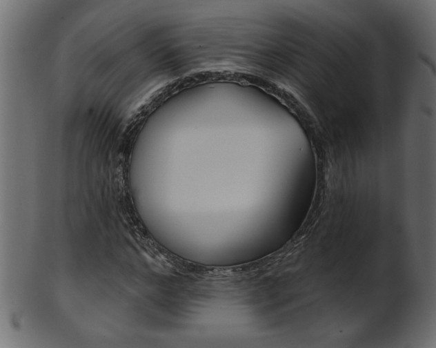 X0000102020968200807180939