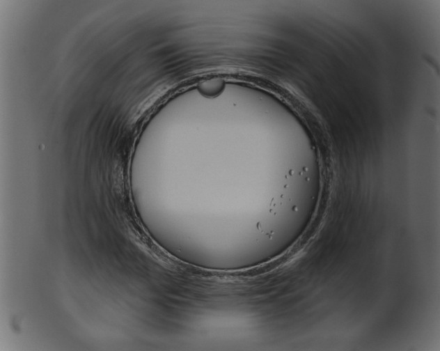 X0000102020969200807180939