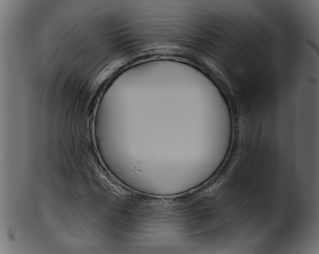 X0000102020970200807180939