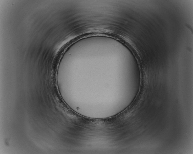 X0000102020971200807180939