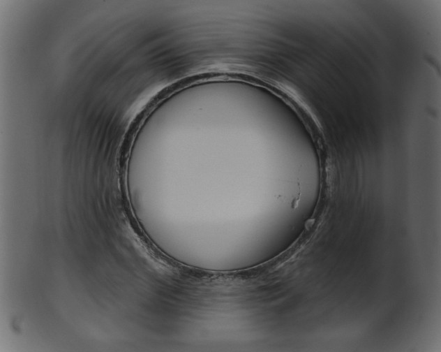 X0000102020972200807180939