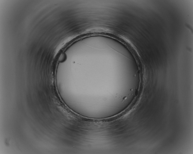 X0000102020973200807180939