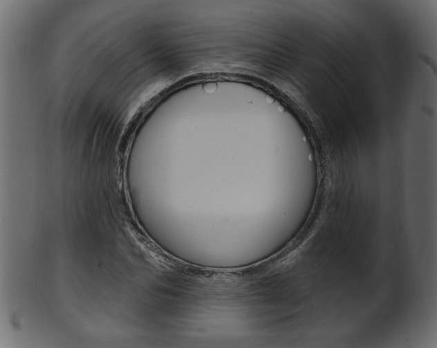 X0000102020974200807180939