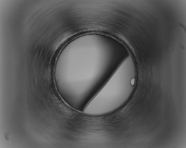 X0000102020975200807180939