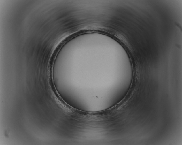 X0000102020976200807180939
